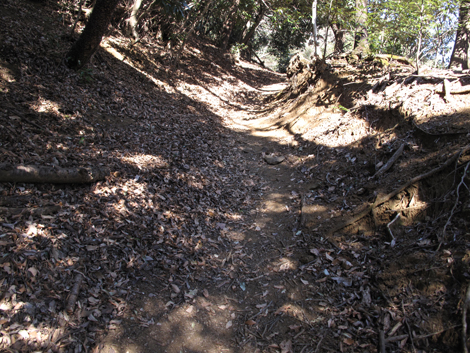 20170126hike (277)